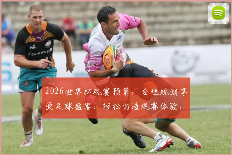 2026世界杯观赛预算，合理规划享受足球盛宴，轻松打造观赛体验，一网打尽